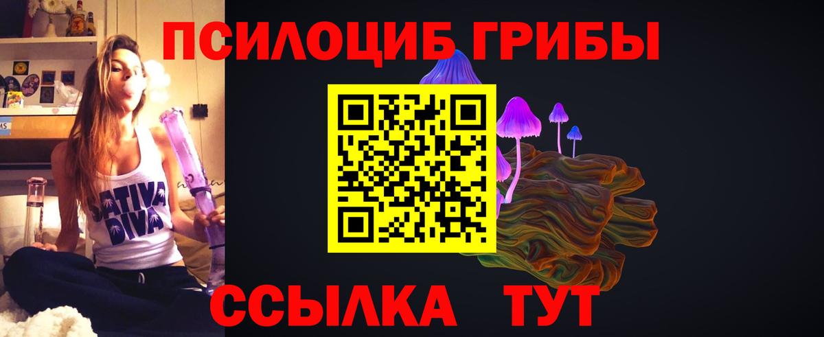 Псилоцибиновые грибы Psilocybine cubensis  Вход с VPN  Новоалтайск 